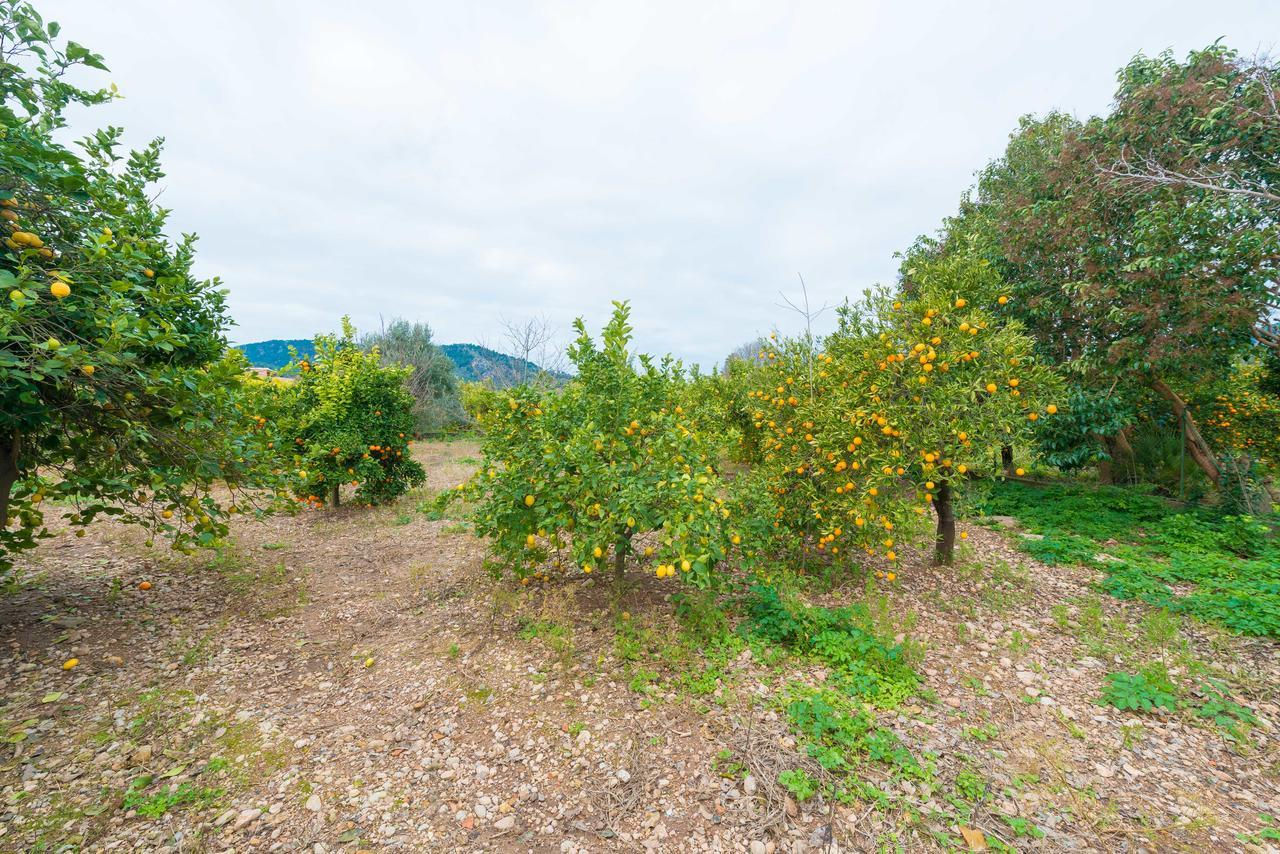 Can Raia Soller Exterior photo
